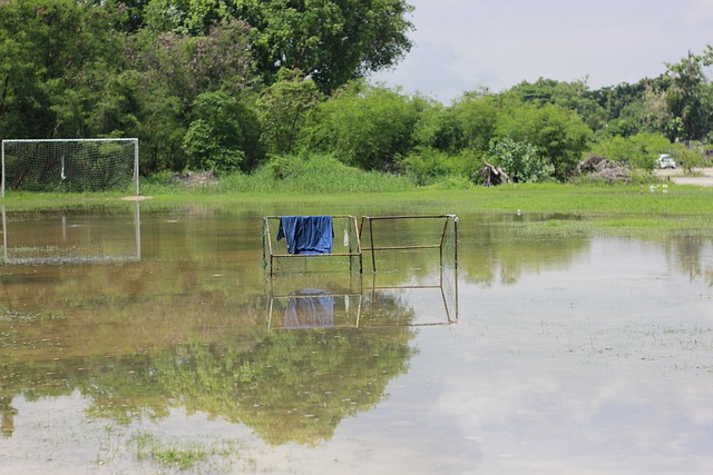 对比赛的深 对比赛的深