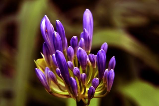 维持运作 维持运作