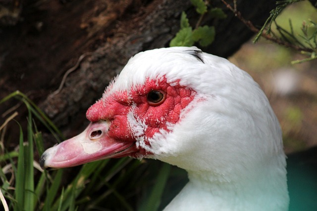 的重要推动 的重要推动