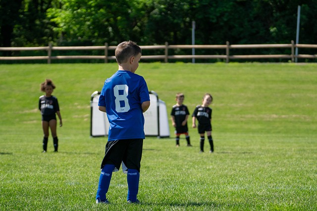 在关键时候 在关键时候