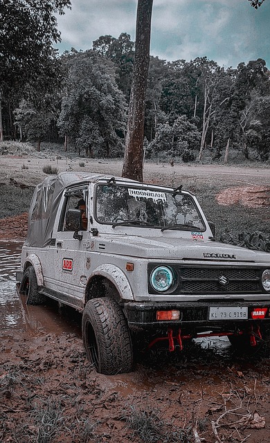 区域的旅游 区域的旅游