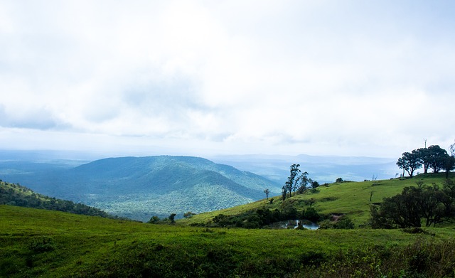 师对未来的 师对未来的