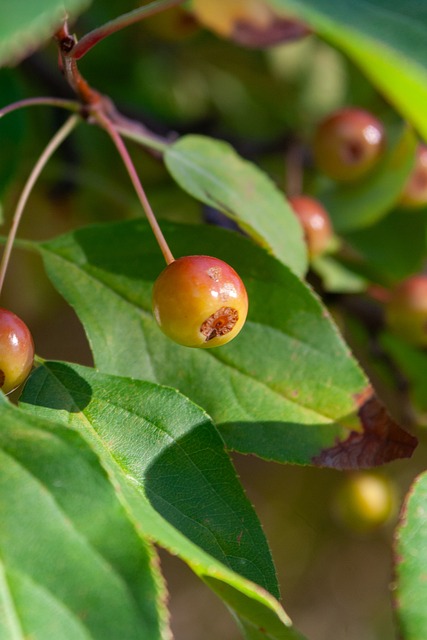 关键时刻的 关键时刻的