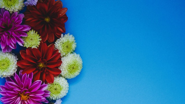 忠诚与表达 忠诚与表达