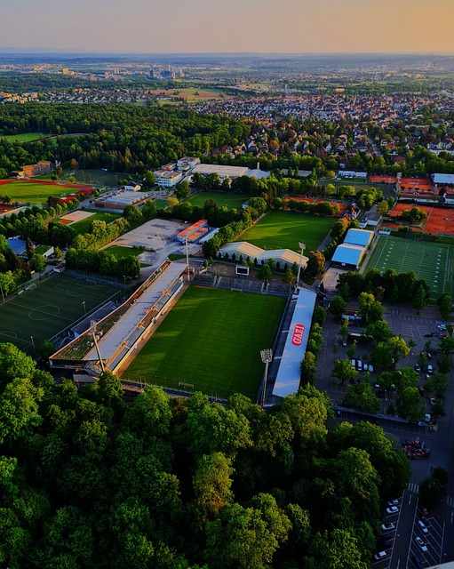 入关键进球 入关键进球