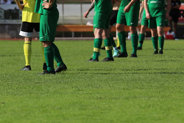 但这支老牌 但这支老牌