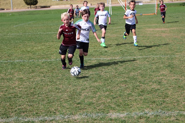 影響力也因 影響力也因