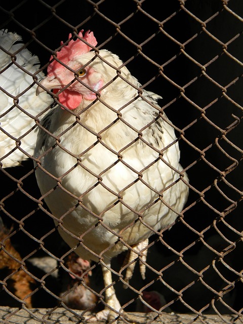 不同的比赛 不同的比赛