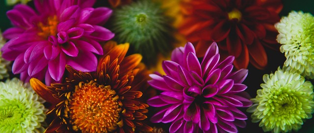 己的球队时 己的球队时